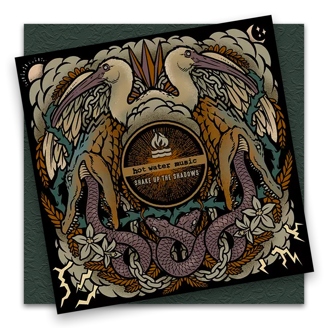 Shake Up The Shadows LP